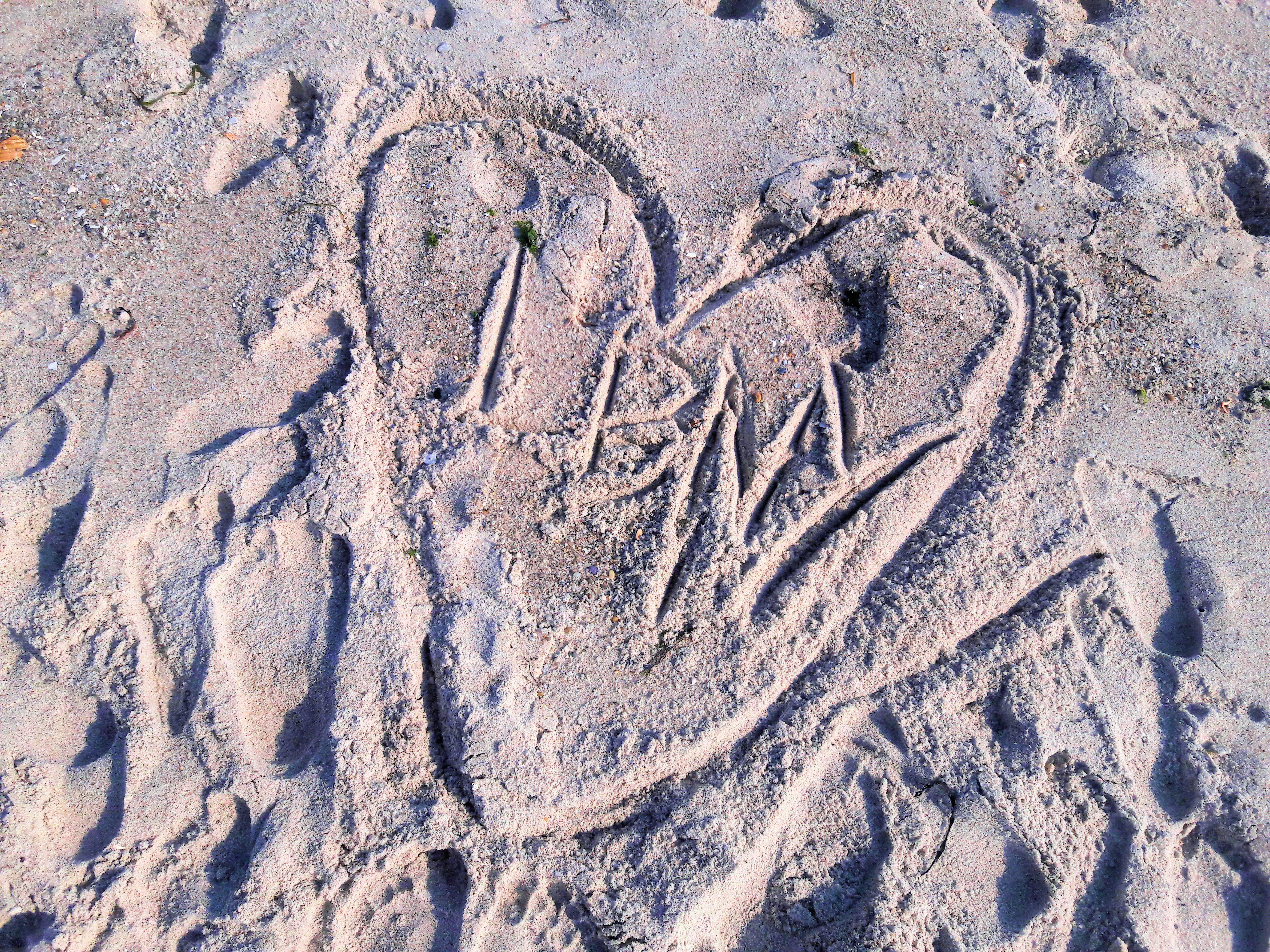 long beach heart grey